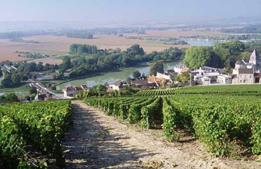 Alojamento de Acomodação e Pequeno-almoço Le Clos Corbier Mareuil-sur-Ay